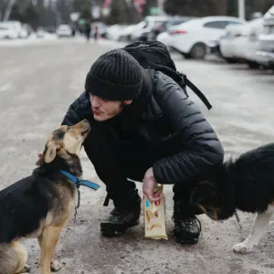 Jeune Pet-Sitter de 19 ans à Paris / Seine-et-Marne