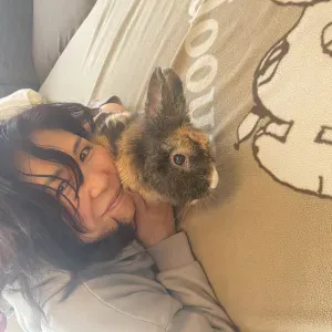 Les animaux sont heureux avec moi!