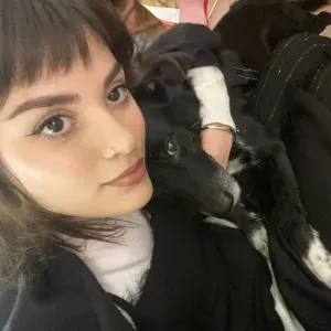 Mi offro disponibile come pet sitter a Milano