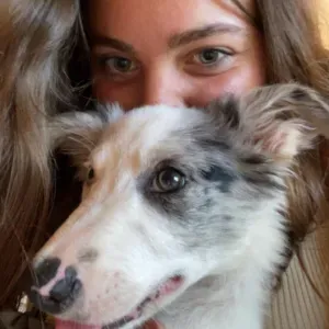 Pet-sitter pour des vacances à vos animaux