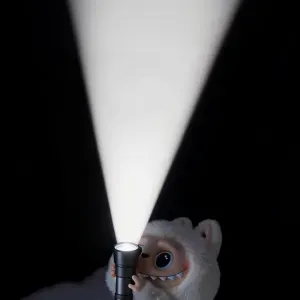 Respensible cleaner in Poland,warsaw