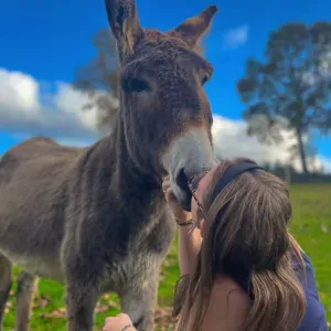 L'amie de vos animaux a Amiens !