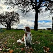 Recherche femme de ménage à Veigy-Foncenex