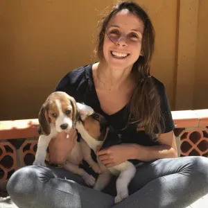 Cuidar de Animais, pet sitting Oeiras 