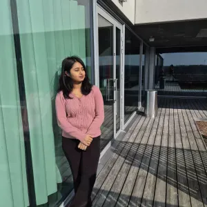 Cleaners in my house and in my home country I work 