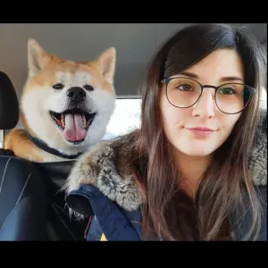 Garde🤗🐶/visite😸👋/promenade🐕