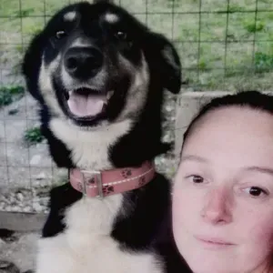 Petsitter en Métropole lilloise