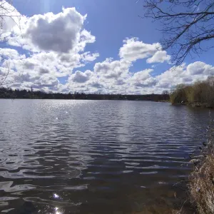 Recherche travaux de nettoyage domicile,société.