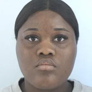 Aide ménagère à domicile , à Torcy 