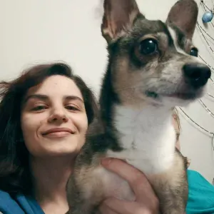 Petsitter, opieka nad zwierzętami!