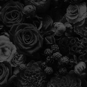 Babysitter qui va faire de son mieux à Cherbourg