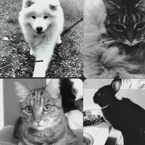 Promeneuse et gardeuse d'animaux