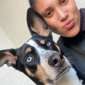 Pet sitting na área Metropolitana do Porto