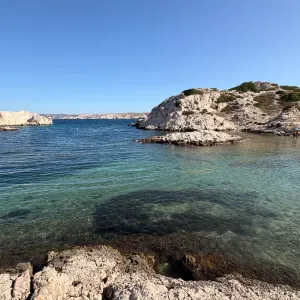 Pet-Sitter à Toulouse et environs