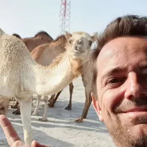 Position for a cleaner in Almada