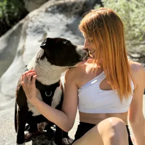 Cuidadora de mascotas en Salamanca! 