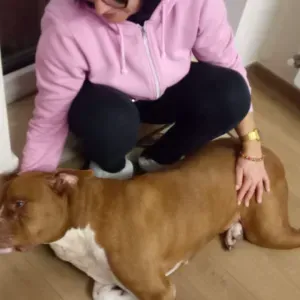 Addetta pulizie anche per be b