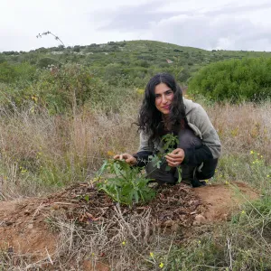 Eco-Friendly Household Helper & Healthy Cook