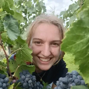 Baby- sitter en étude à liège !!!