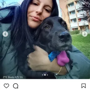 Addetta alle pulizie, a Forlì e zone 