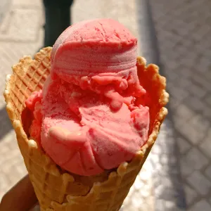 Empregada de limpeza 