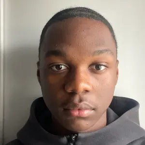 Baby-sitter expérimenté dans Paris 