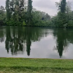 Housekeeper in asniere sur seine