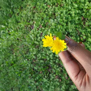 Faite moi confiance avec vos animaux