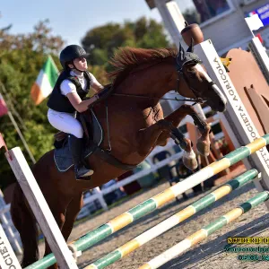 Ripetizioni e aiuto compiti a Lugano