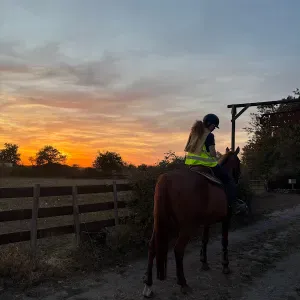 Pet-sitter à Cholet/aux alentours