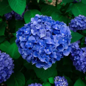 Garde d'enfants à La Rochelle 