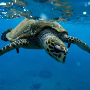 Assistante maternelle disponible pour de la garde d'enfant