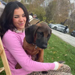 Cura degli animali a Vignola di Modena e dintorni