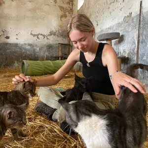 Pet sitter passionnée à Boulogne-Billancourt