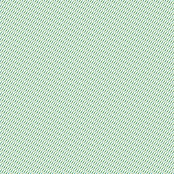 Preciso de alguem que fique com a gatinha 16-23 de Agosto