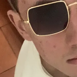 Cat e dog sitter a Bari amante degli animali con esperienza 