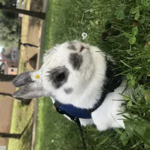 Des devoirs sans stress du CP au CM2