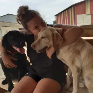 Pet sitter à Beaulon et autour 