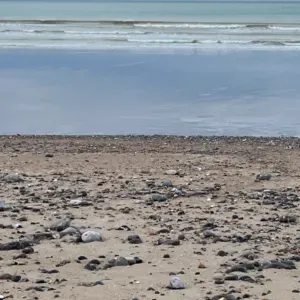 Garde de vos enfants à domicile