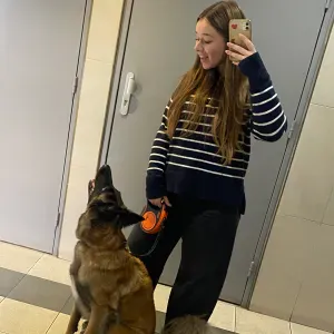 Recherche pet-sitter sur le secteur de Lille 