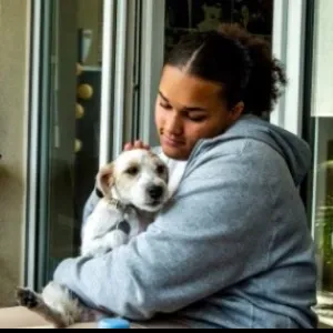 Garde de chiens/chats, promenades