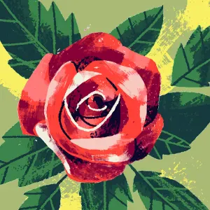 Femme ménage environ de Démouville