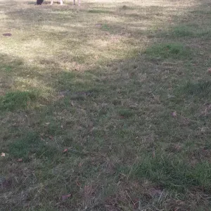 Assistante maternelle