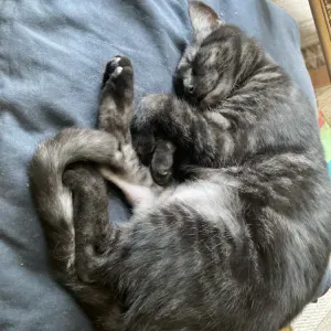 Je cherche actuellement quelqu'un