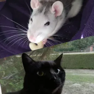 Visiter, promener, garder vos préférés pensez à moi