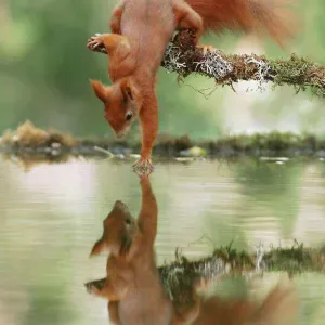 Recherche baby sitter pour 3 enfants 