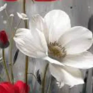 Cuidar bebe por las tardes y ocasional