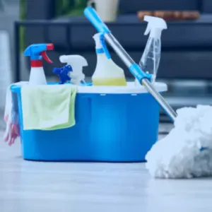 Femme de ménage, Assistante de vie 