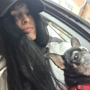 Canguro de mascota en las palmas de gran canaria