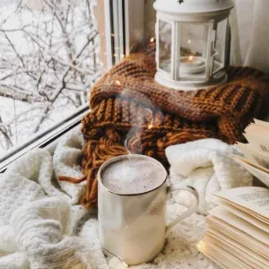 Aide ménagère à domicile expérimentée 